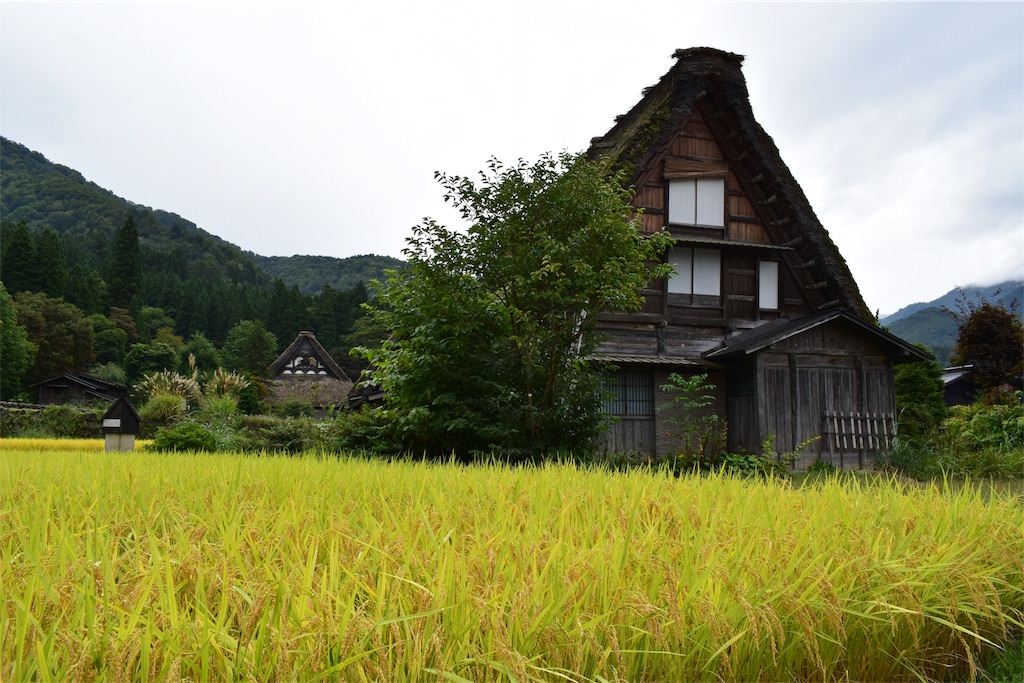 f:id:BullBull-Musao:20190922223216j:image f:id:BullBull-Musao:20190922223216j:image