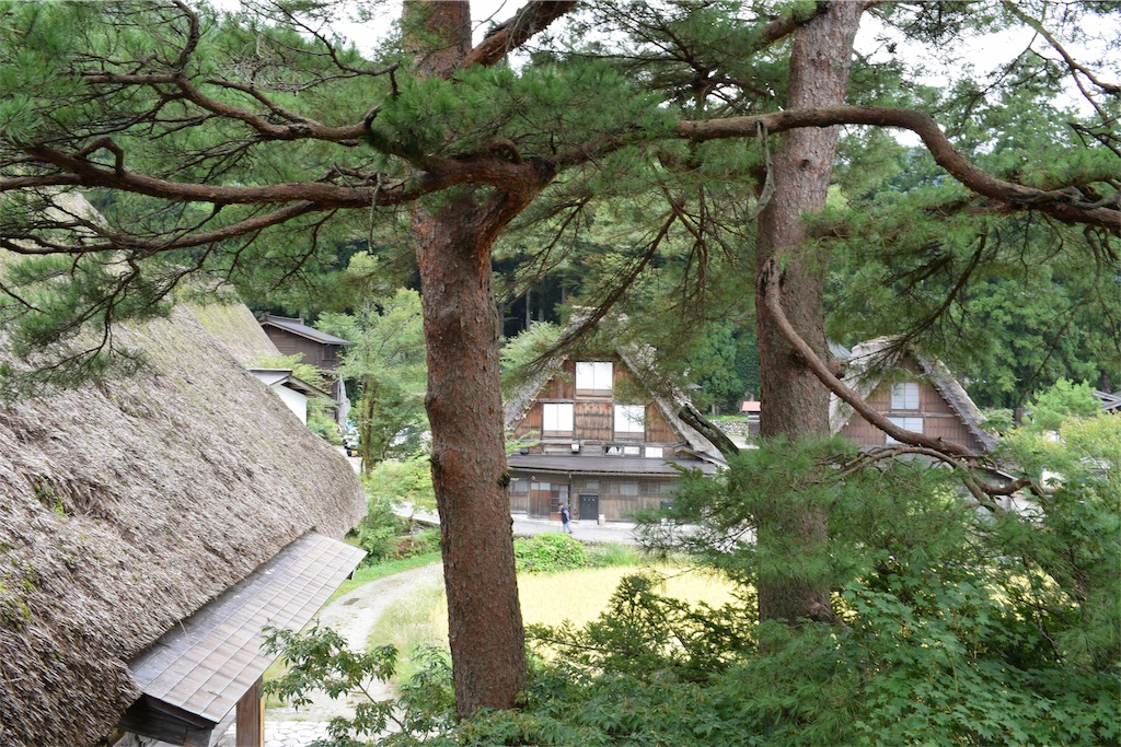 f:id:BullBull-Musao:20190922223250j:image f:id:BullBull-Musao:20190922223250j:image