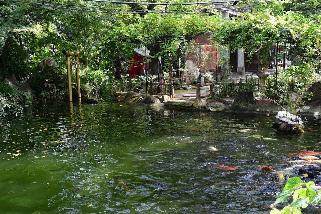 f:id:BullBull-Musao:20191006211822j:image