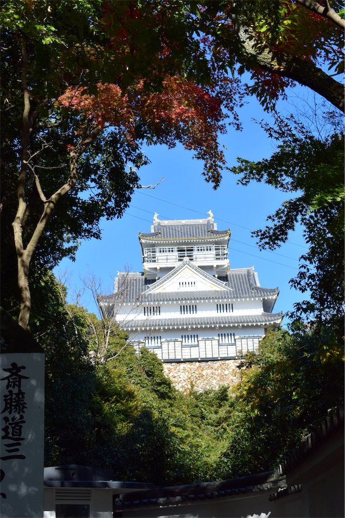 f:id:BullBull-Musao:20191124124017j:image f:id:BullBull-Musao:20191124124017j:image