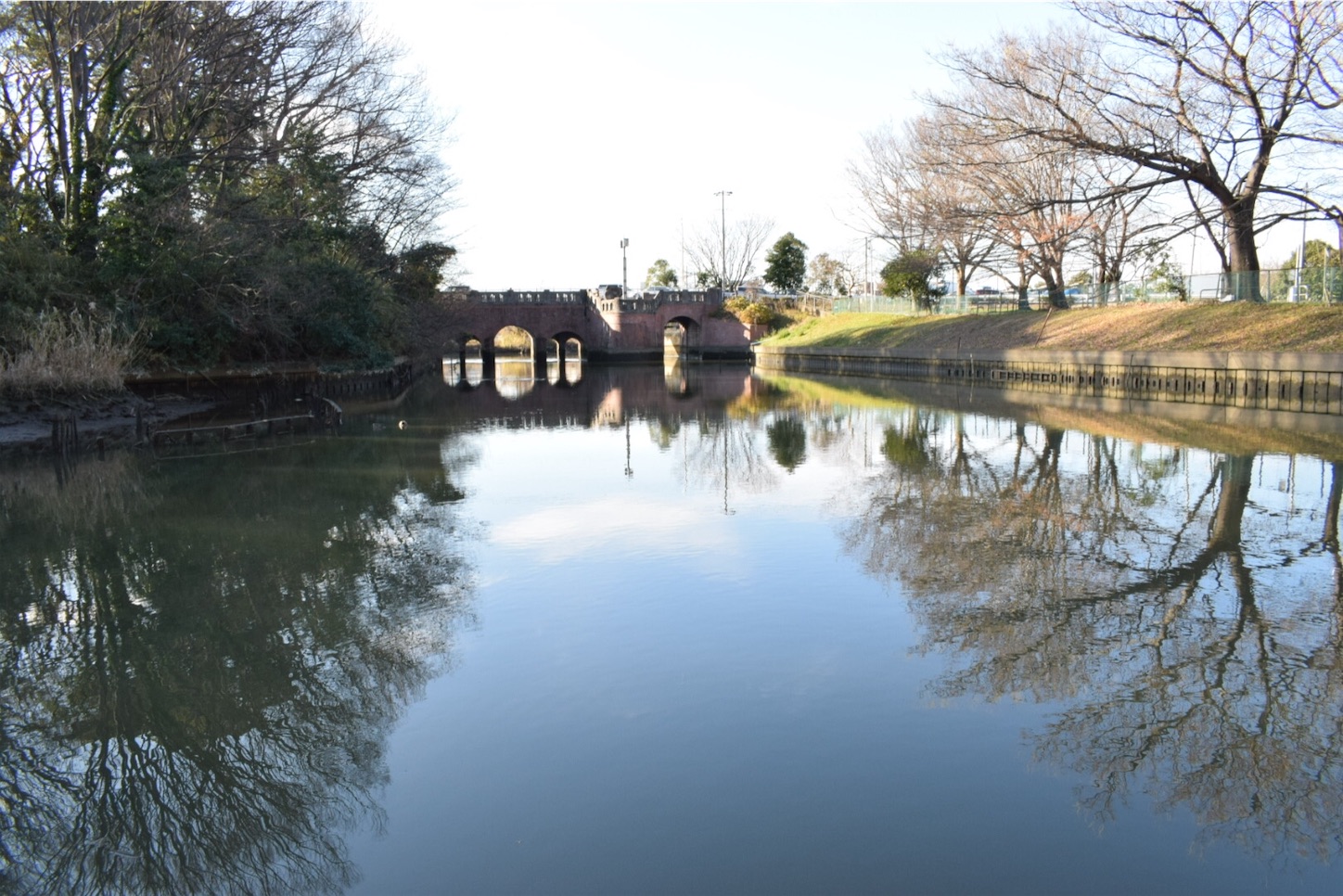 f:id:BullBull-Musao:20191231021546j:image