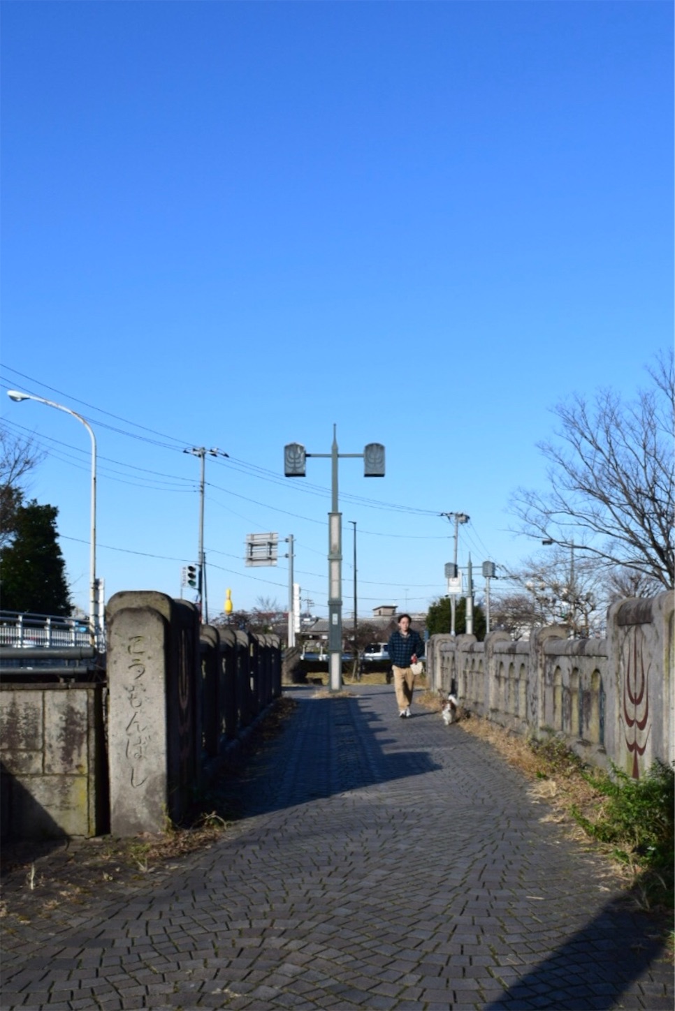 f:id:BullBull-Musao:20191231024736j:image
