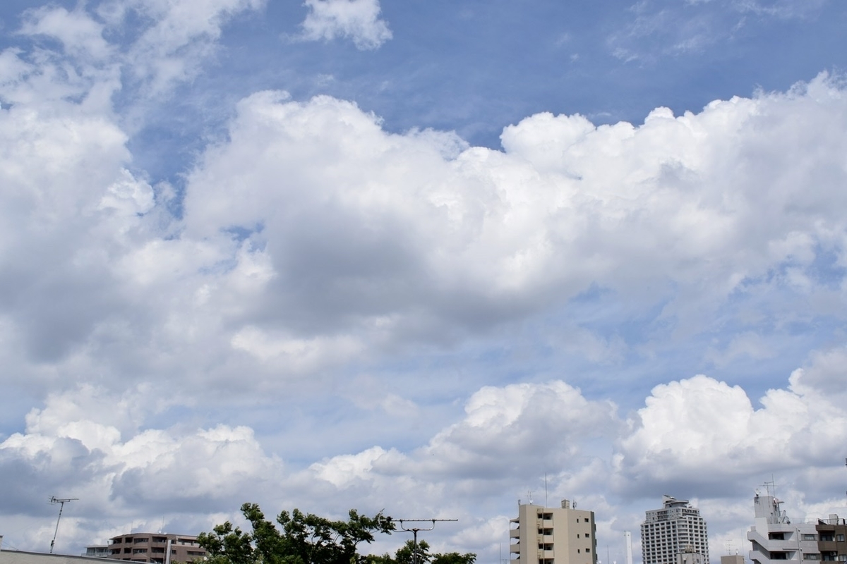 f:id:BullBull-Musao:20200712212516j:plain