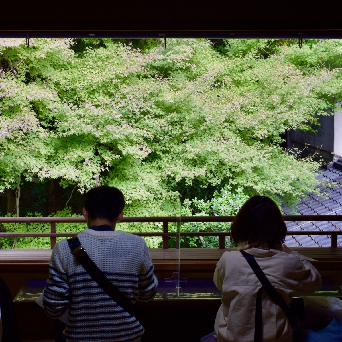 f:id:BullBull-Musao:20201104095204j:plain