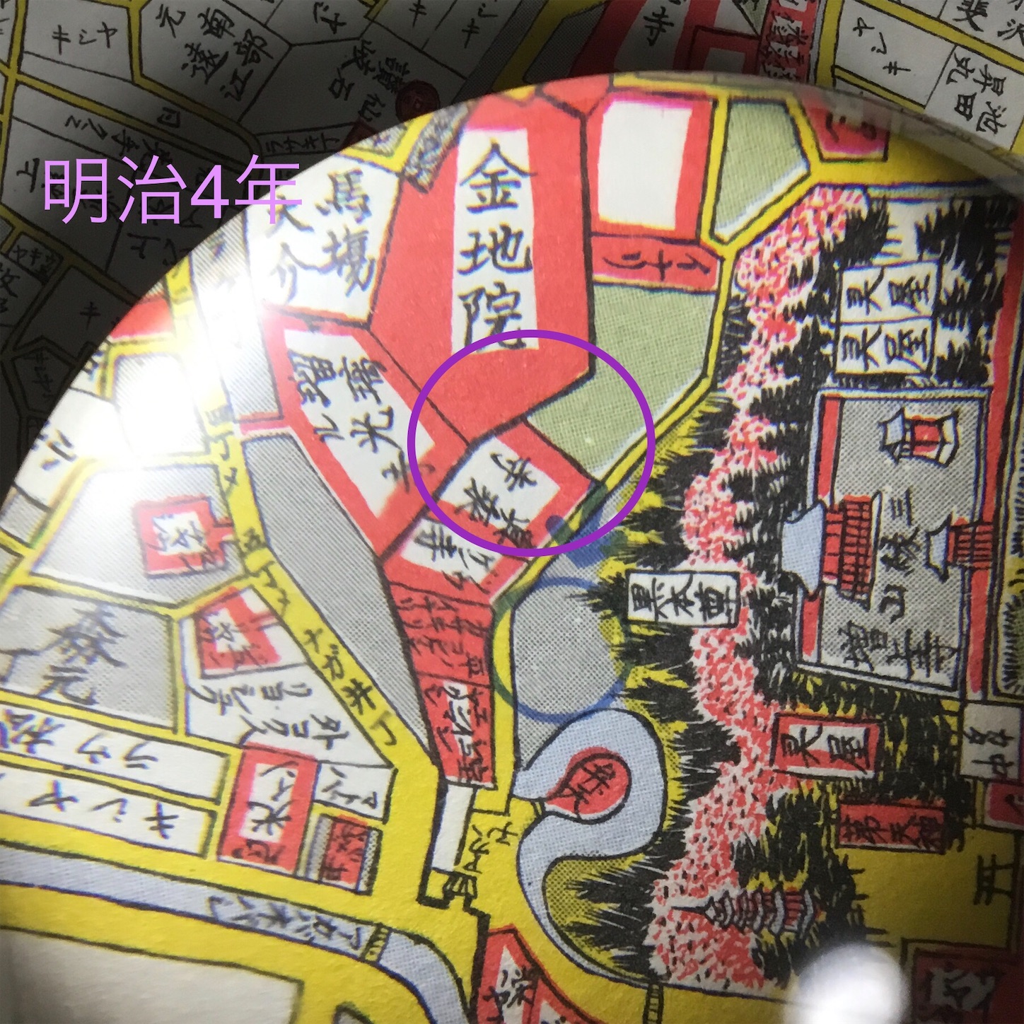 f:id:BullBull-Musao:20201117093406j:image f:id:BullBull-Musao:20201117093406j:image