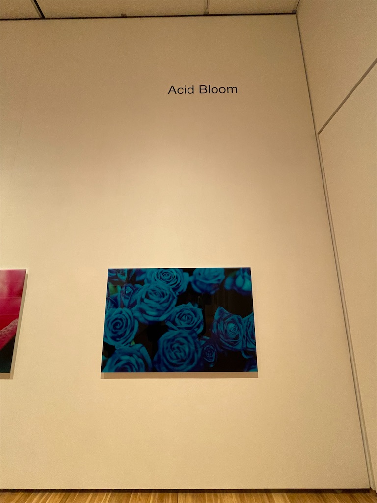 Acid Bloom
