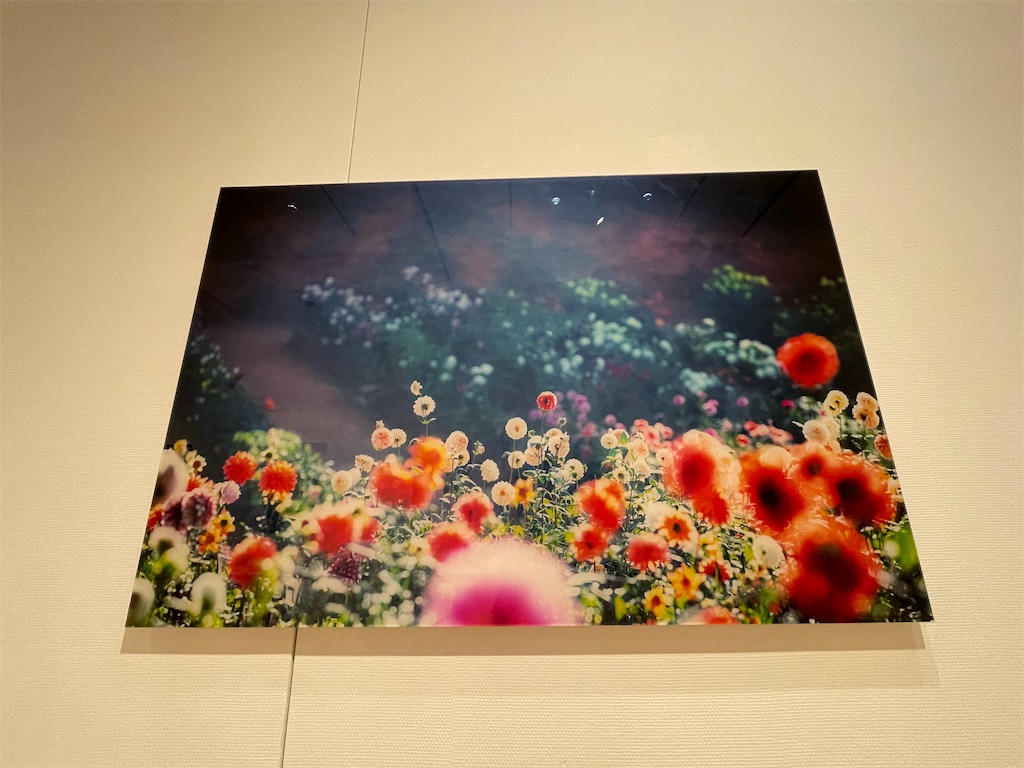 花々