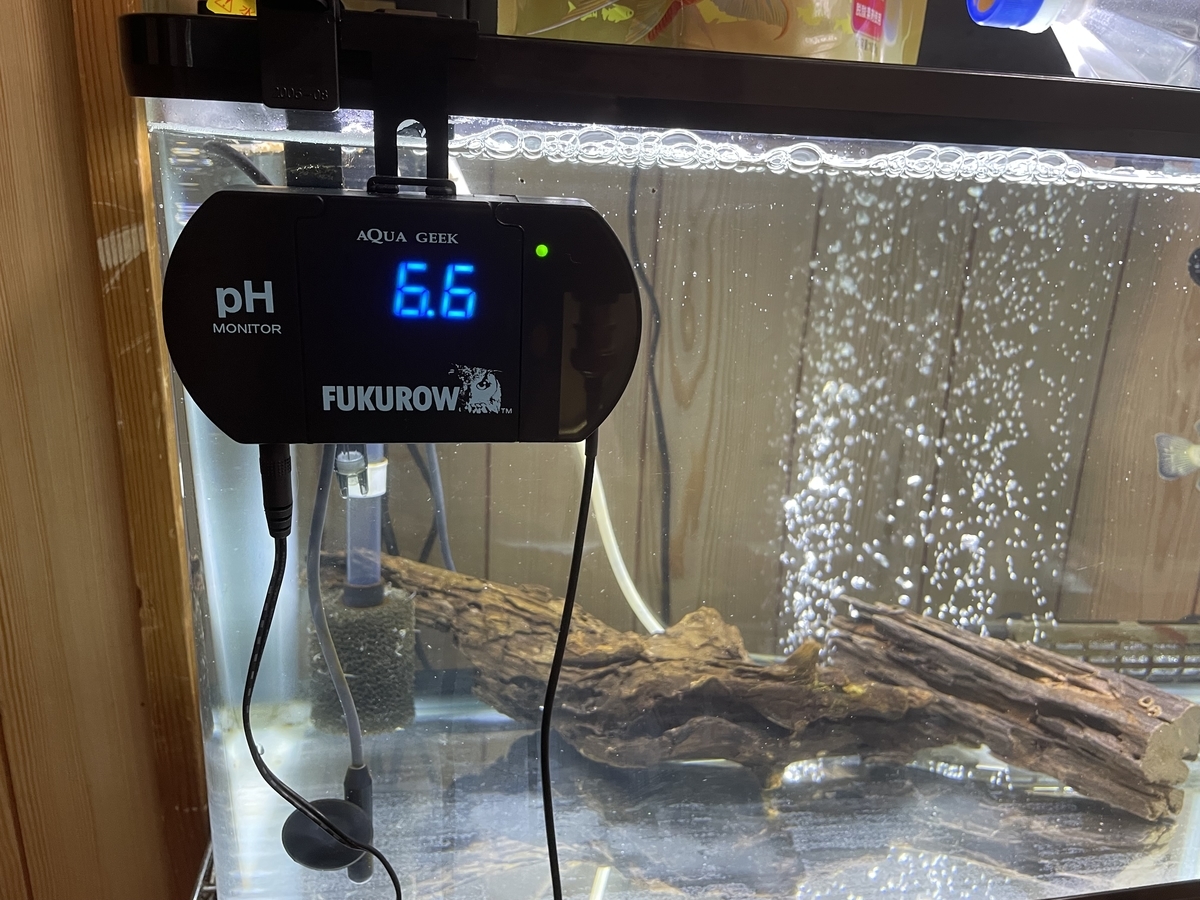 アロワナ水槽の水質管理 phモニターの調整 水質調整 前編 Bumudayoのブログ アロワナ水槽の水質管理 phモニターの調整 水質調整 前編 Bumudayoのブログ