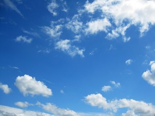c986f0a0.jpg