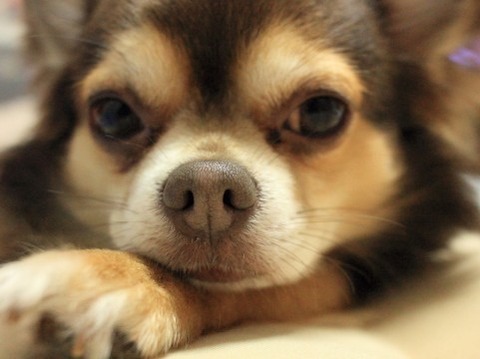 課長 私会社辞めます 勢いで退職してしまった人への助言 元気なる なる Hitorigoto