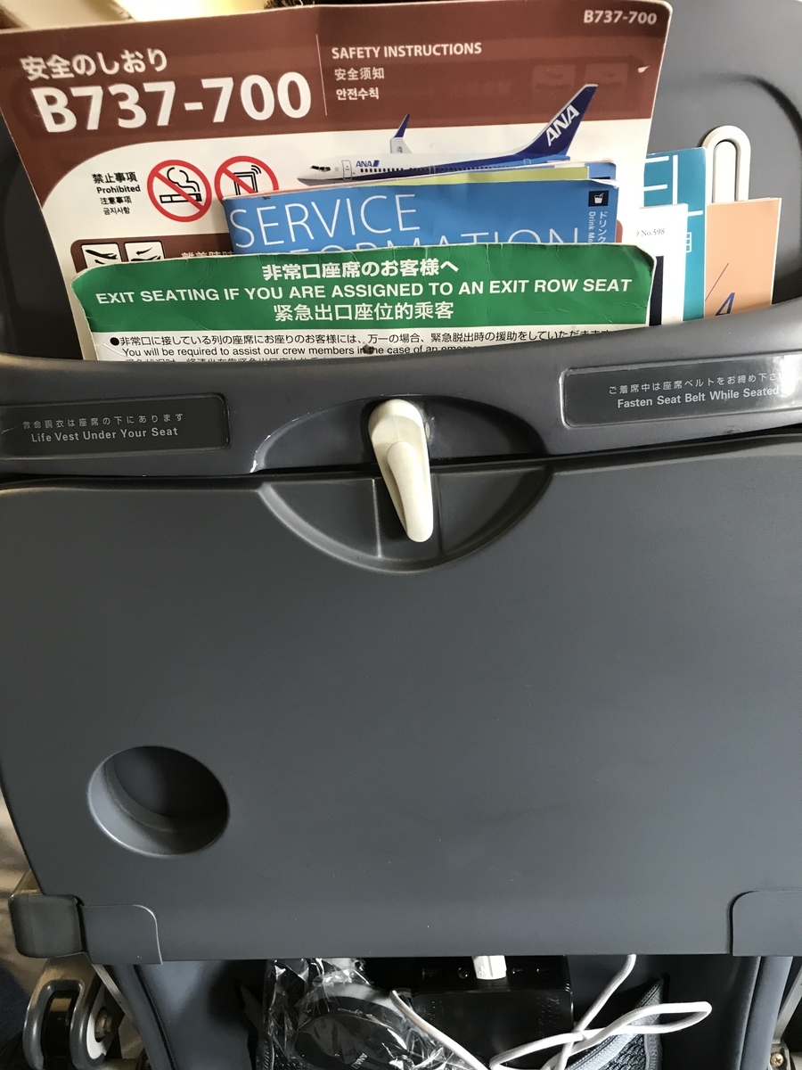 f:id:Bunchan_Flute:20210106004450j:plain