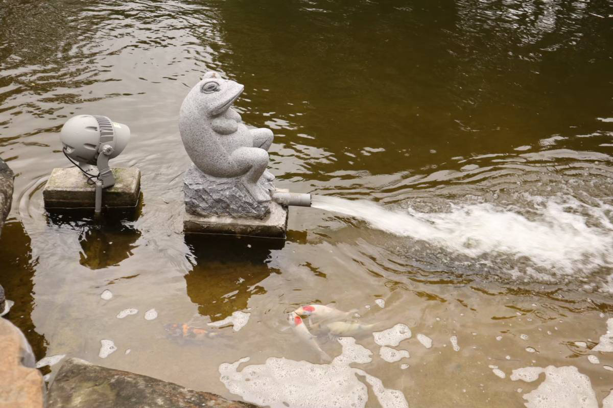 f:id:Bunchan_Flute:20210106162135p:plain