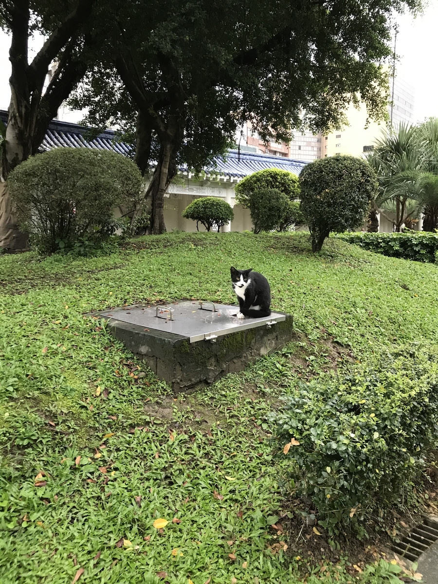 f:id:Bunchan_Flute:20210106162152j:plain