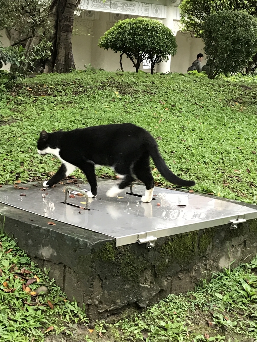 f:id:Bunchan_Flute:20210106162202j:plain