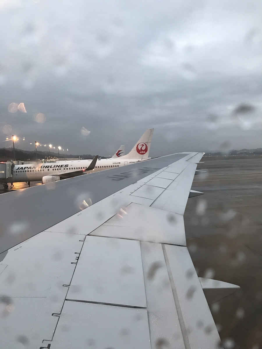 f:id:Bunchan_Flute:20210107135538j:plain