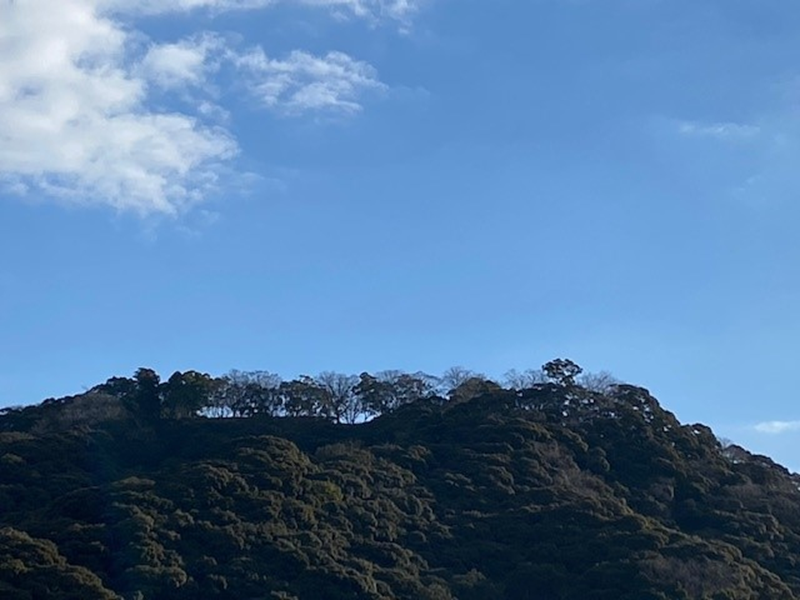 f:id:Bungologist:20220319140037p:plain