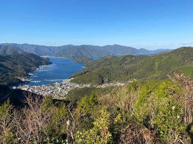 f:id:Bungologist:20220319140835p:plain