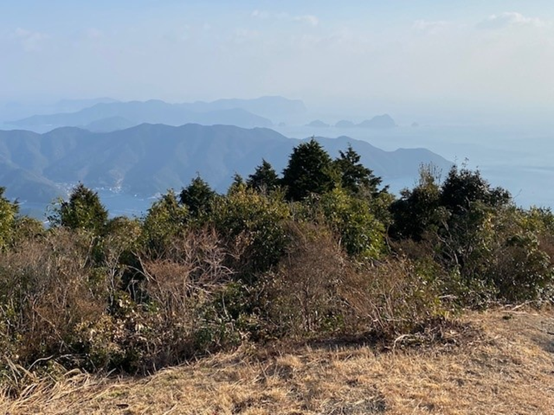 f:id:Bungologist:20220319140946p:plain