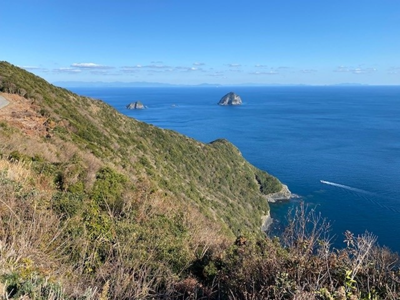 f:id:Bungologist:20220319141814p:plain