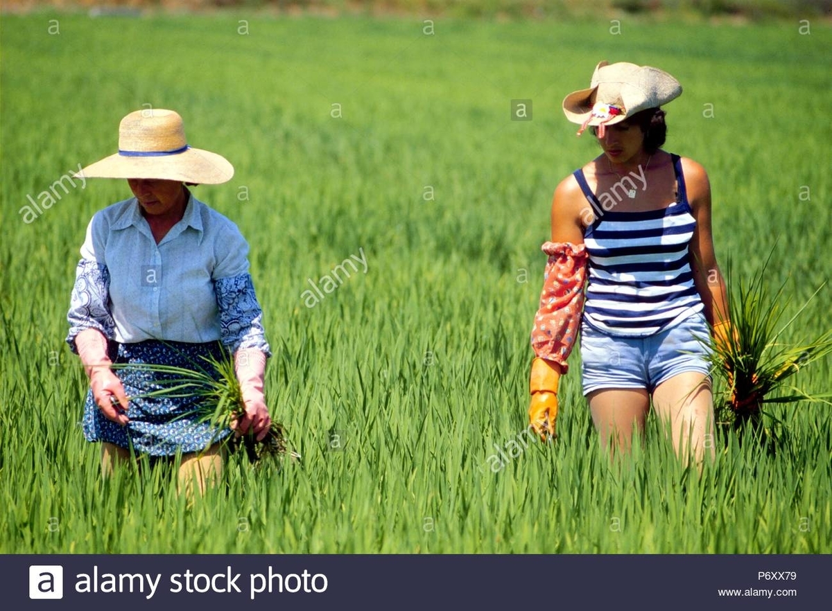 f:id:BuriburiSaikyoNo1:20210801110741j:plain