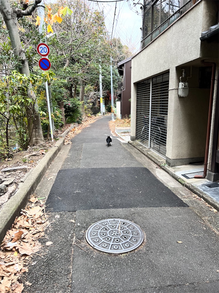 f:id:BuriburiSaikyoNo1:20230604000853j:image f:id:BuriburiSaikyoNo1:20230604000853j:image