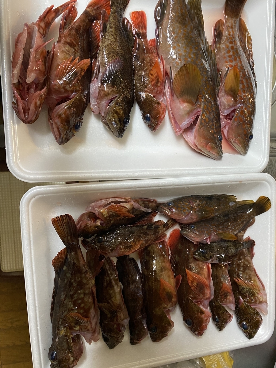 f:id:Burius:20210817195849j:plain