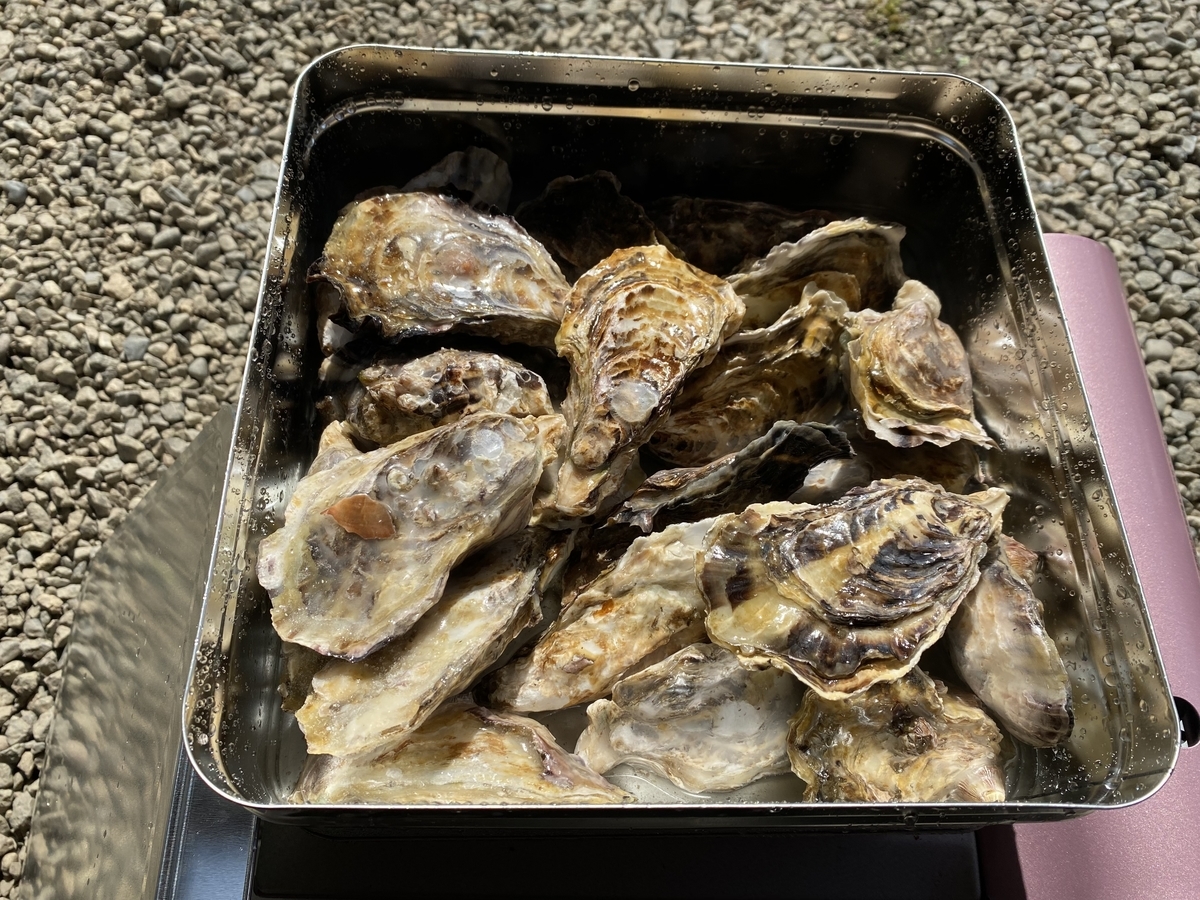 f:id:Burius:20210912220144j:plain