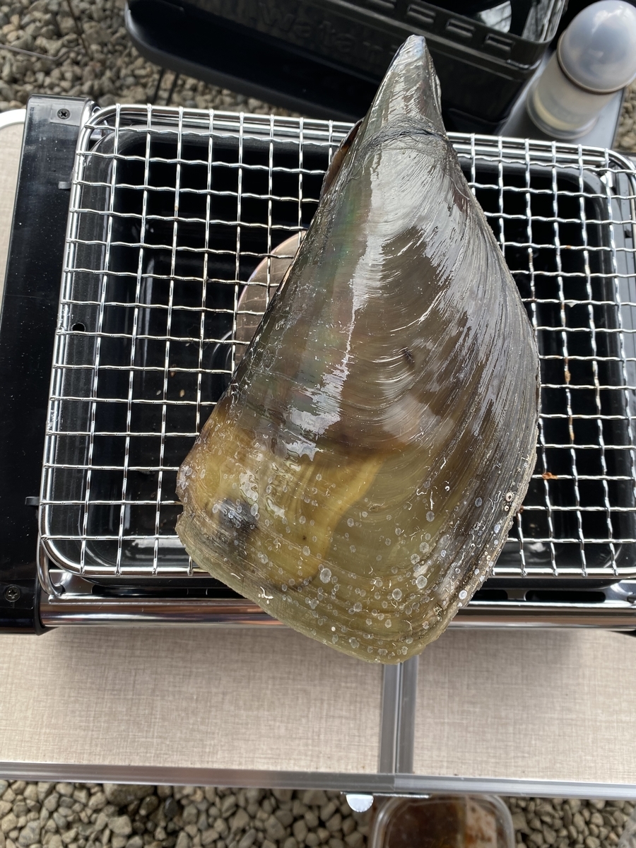 f:id:Burius:20210912220656j:plain