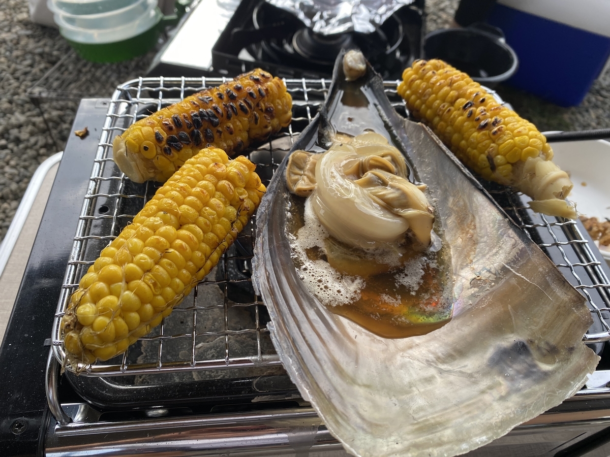 f:id:Burius:20210912220910j:plain