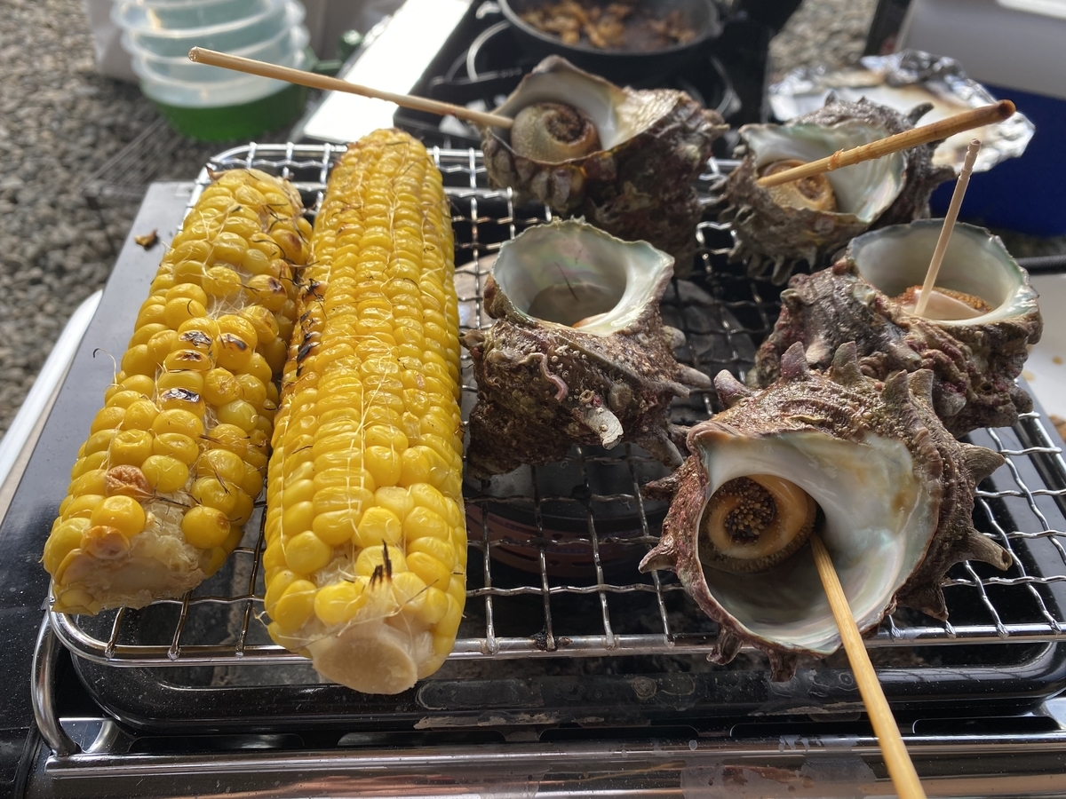 f:id:Burius:20210912221052j:plain