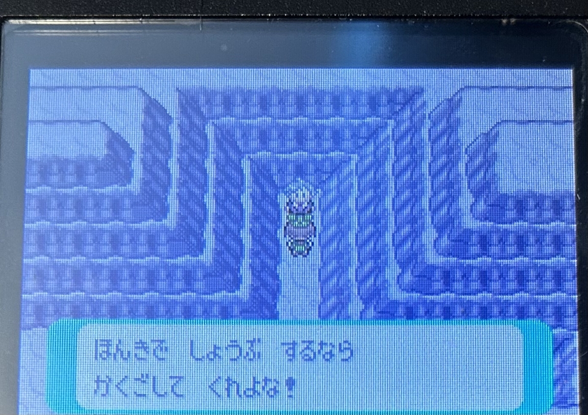 エメラルド ダイゴ 手持ち