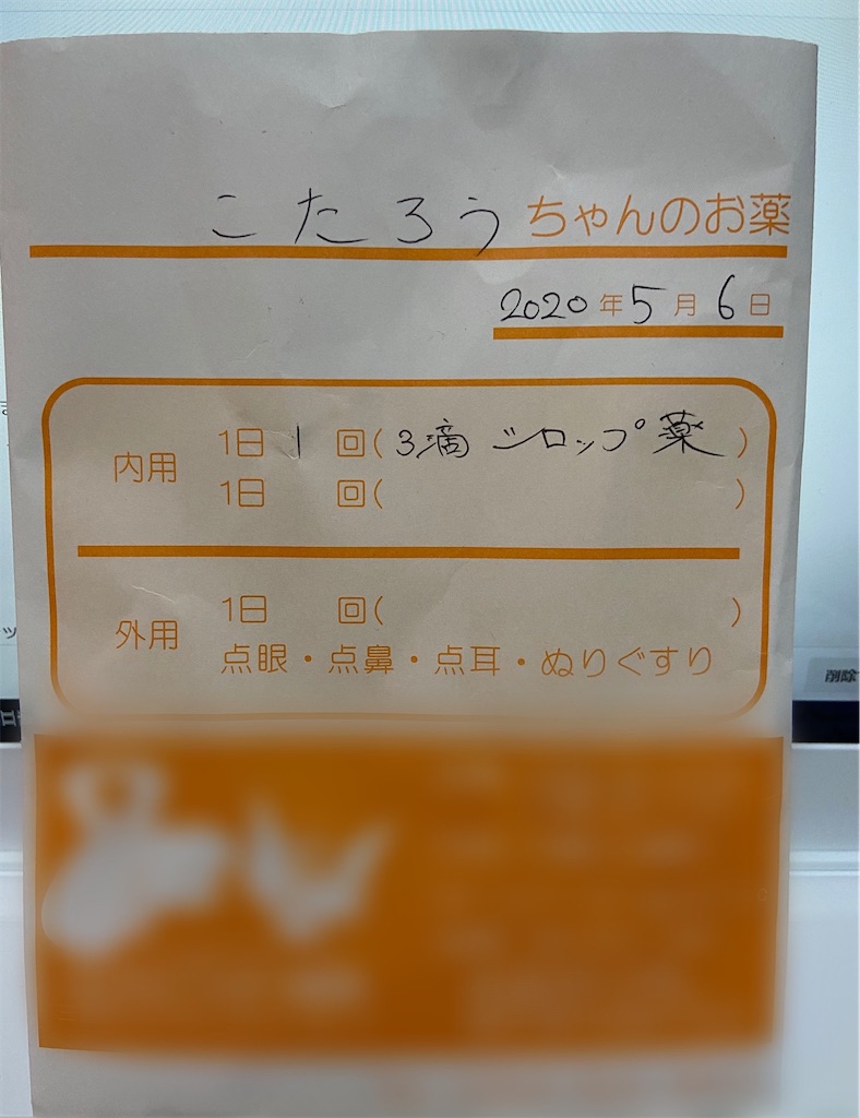 f:id:BusDriverKenzo:20200509204501j:image