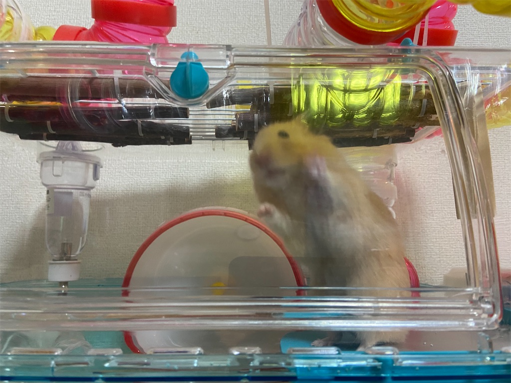 f:id:BusDriverKenzo:20200901162142j:image f:id:BusDriverKenzo:20200901162142j:image