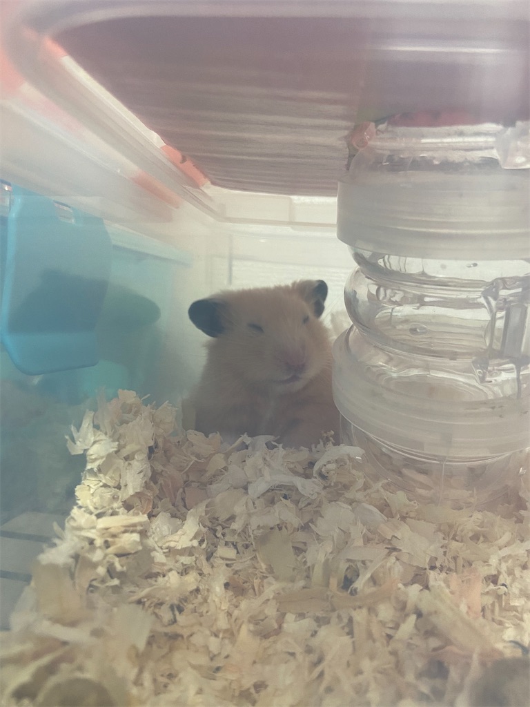 f:id:BusDriverKenzo:20201005100204j:image