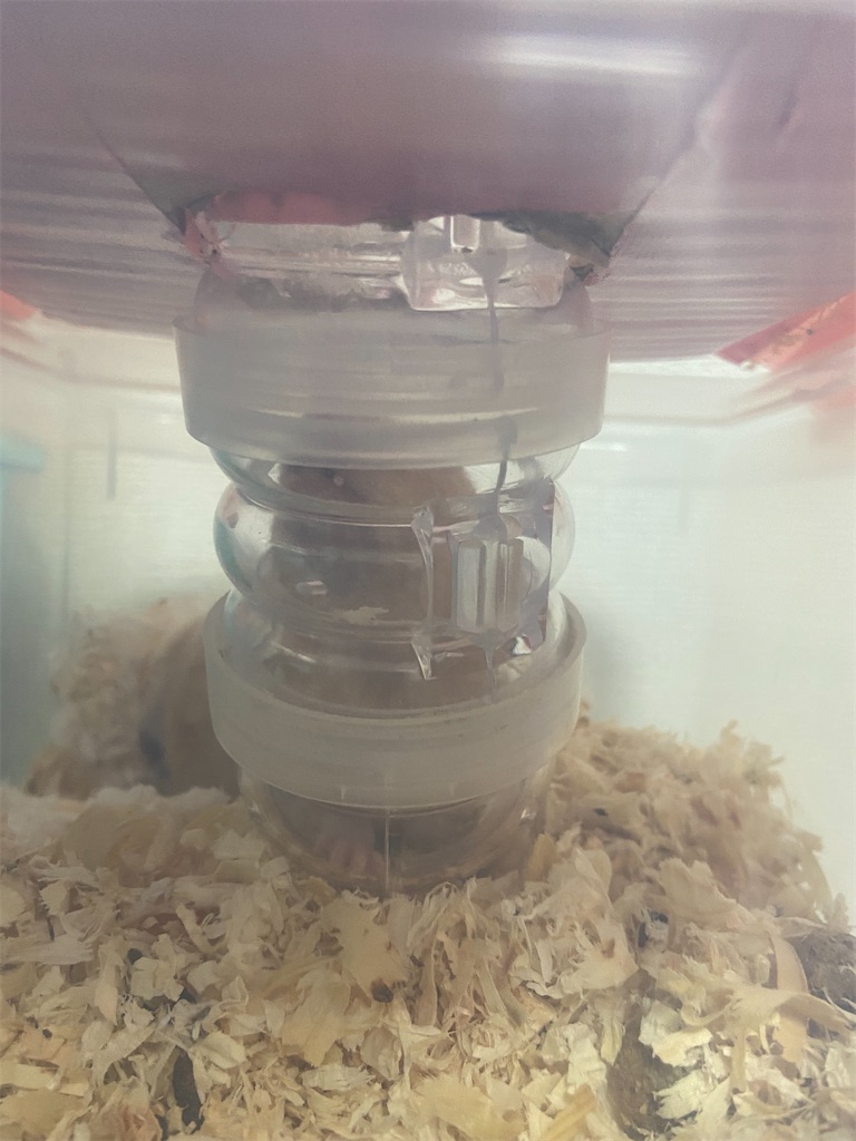 f:id:BusDriverKenzo:20201005105347j:image