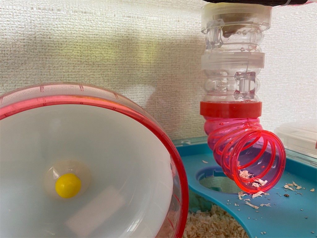 f:id:BusDriverKenzo:20201005105447j:image