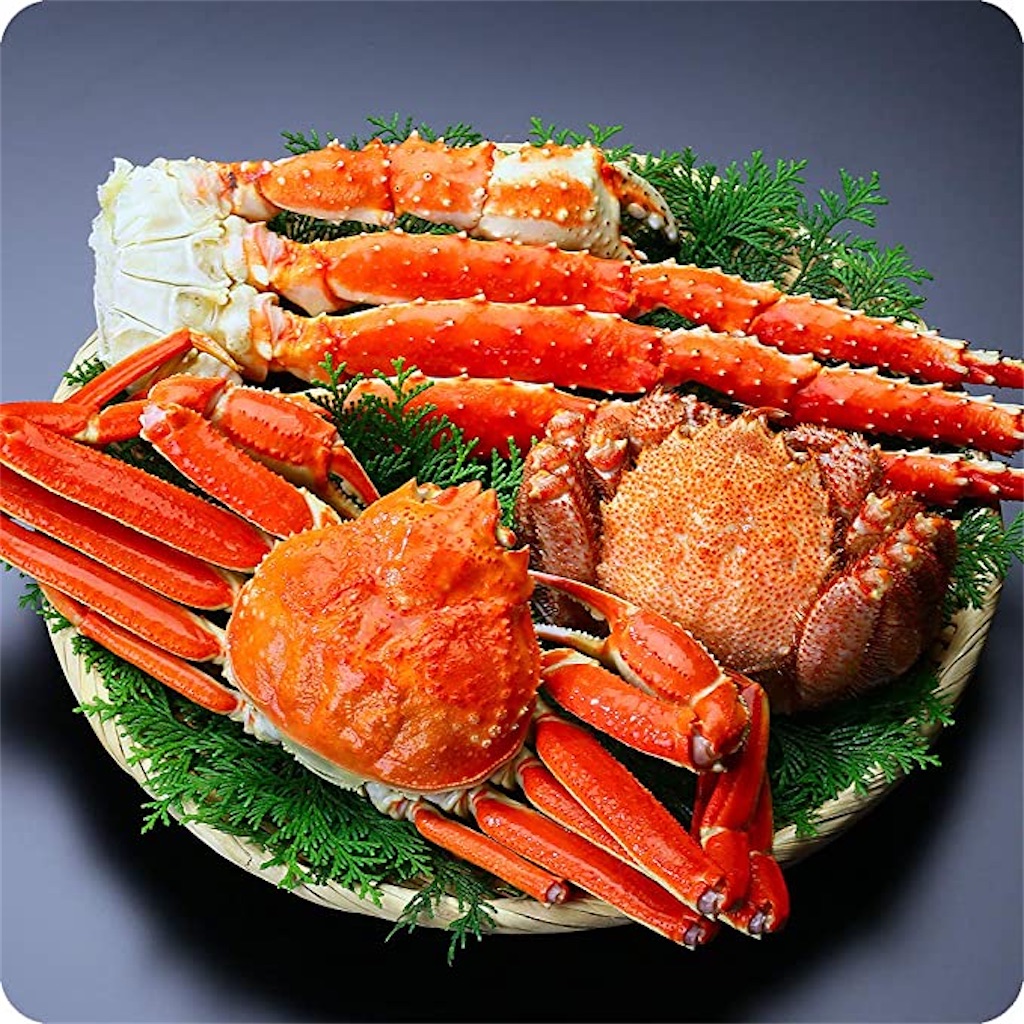 f:id:BusDriverKenzo:20201211220844j:image f:id:BusDriverKenzo:20201211220844j:image