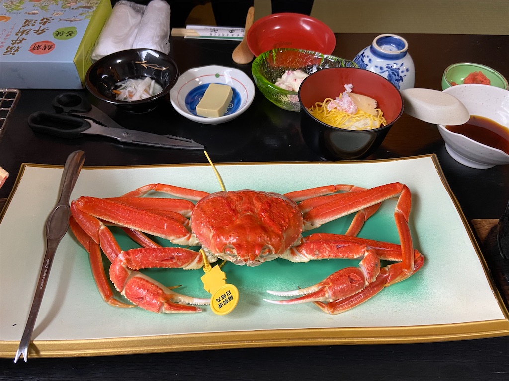 f:id:BusDriverKenzo:20201217225158j:image