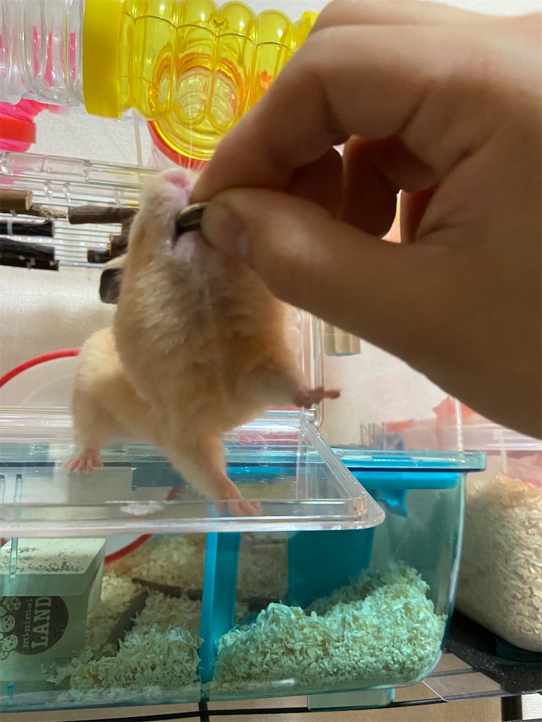 f:id:BusDriverKenzo:20201218155609j:image f:id:BusDriverKenzo:20201218155609j:image