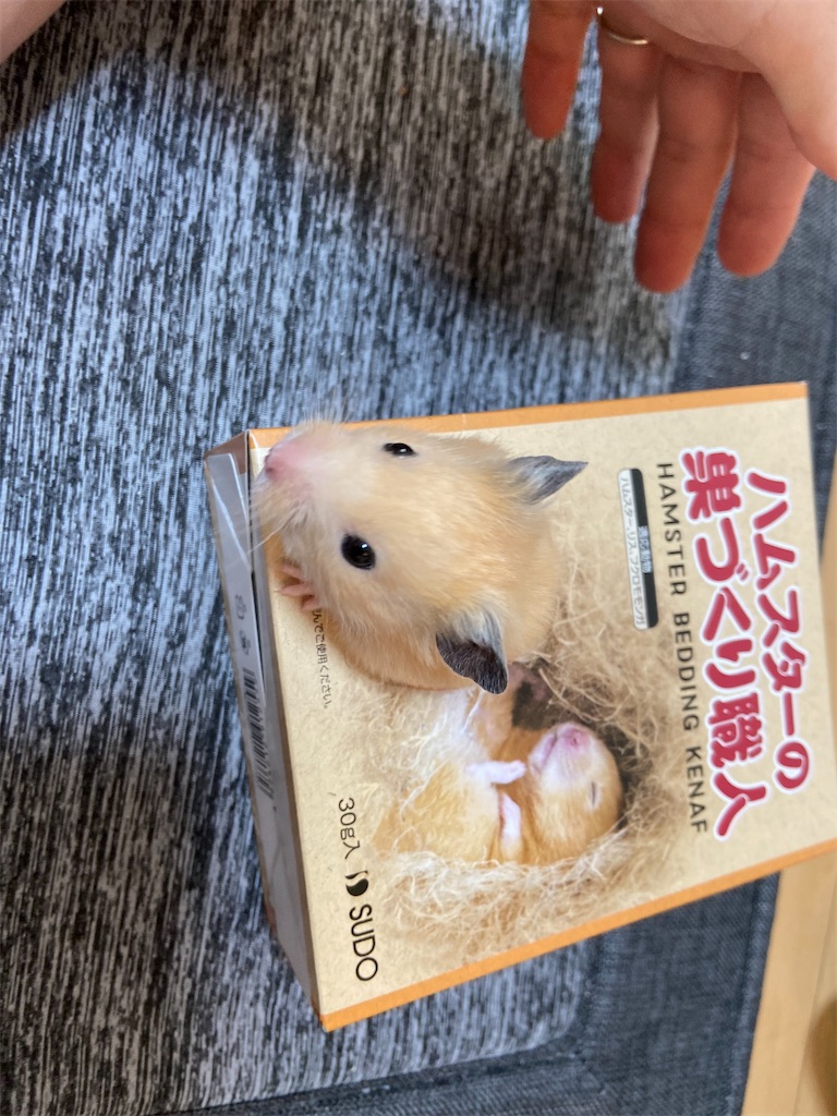 f:id:BusDriverKenzo:20201230225019j:image