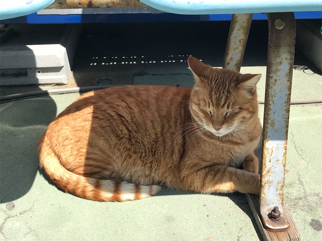 f:id:BusDriverKenzo:20210313183051j:image