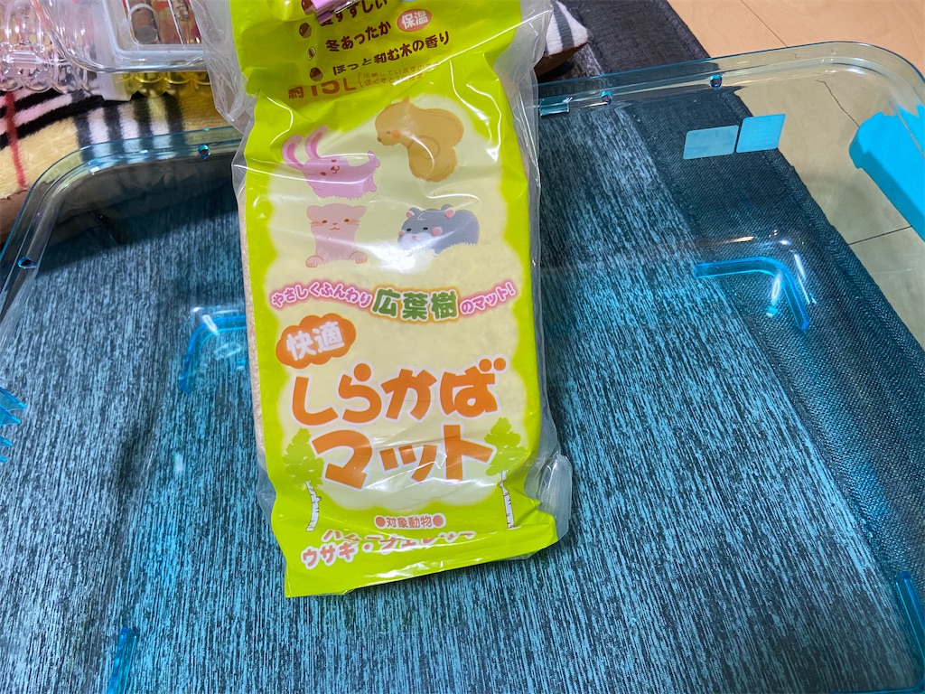 f:id:BusDriverKenzo:20210503191237j:image