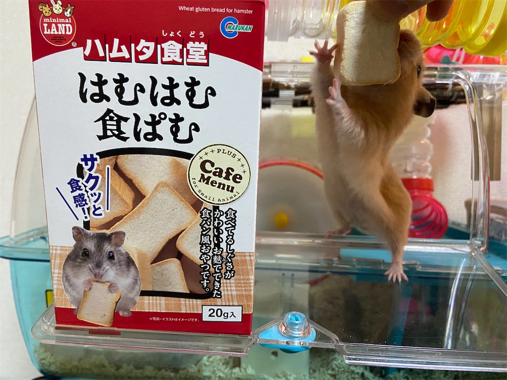 f:id:BusDriverKenzo:20210521194617j:image f:id:BusDriverKenzo:20210521194617j:image