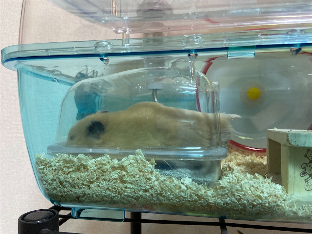 f:id:BusDriverKenzo:20210912165118j:image