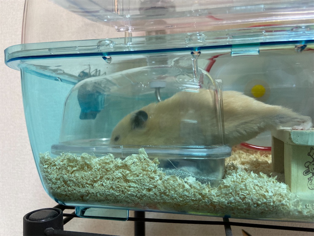 f:id:BusDriverKenzo:20210912165120j:image