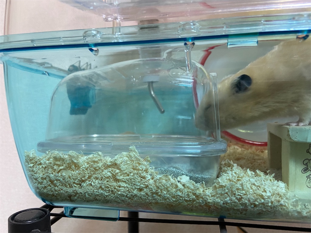 f:id:BusDriverKenzo:20210912165123j:image