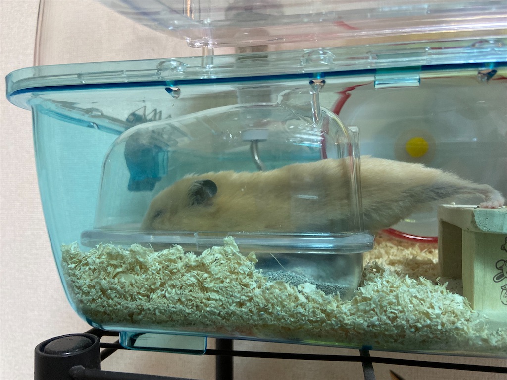 f:id:BusDriverKenzo:20210912165126j:image