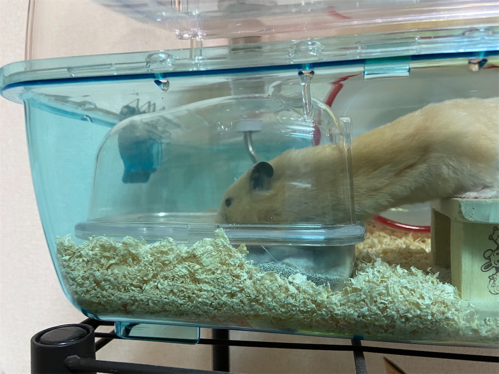 f:id:BusDriverKenzo:20210912165131j:image