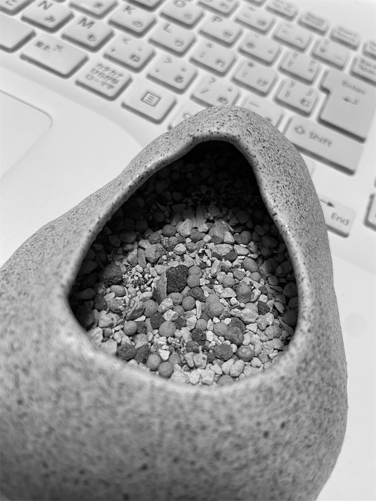 f:id:BusDriverKenzo:20210927190704j:image f:id:BusDriverKenzo:20210927190704j:image