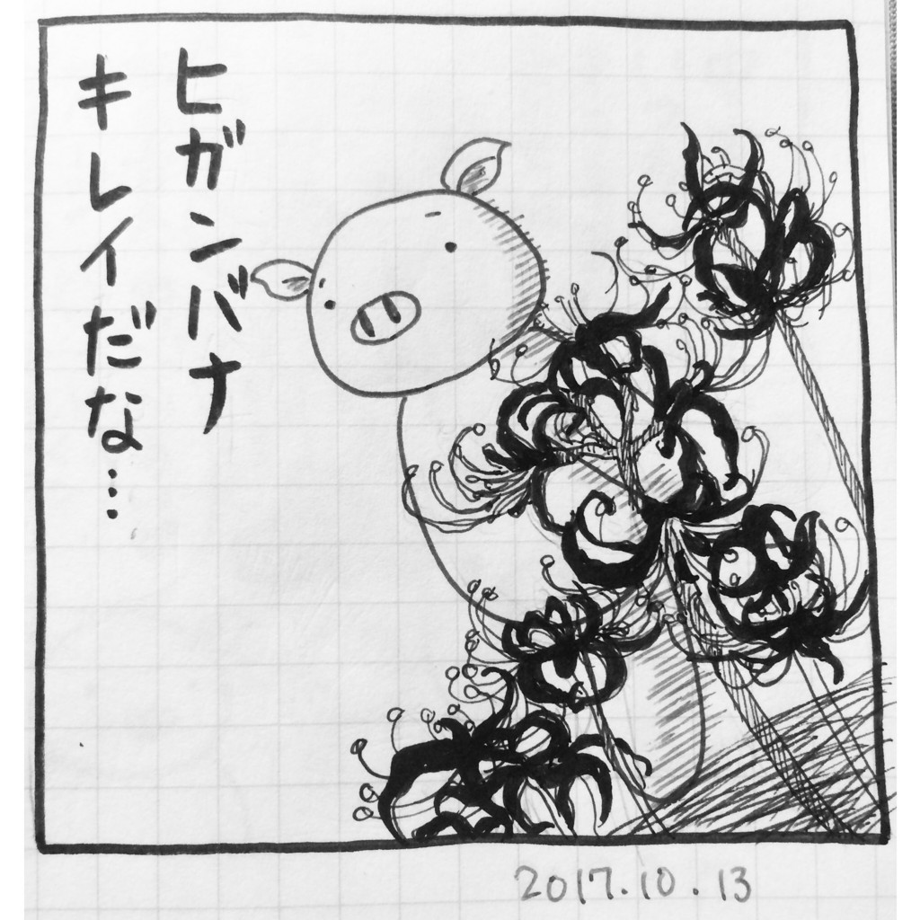 f:id:Butakun:20171014190014j:plain f:id:Butakun:20171014190014j:plain